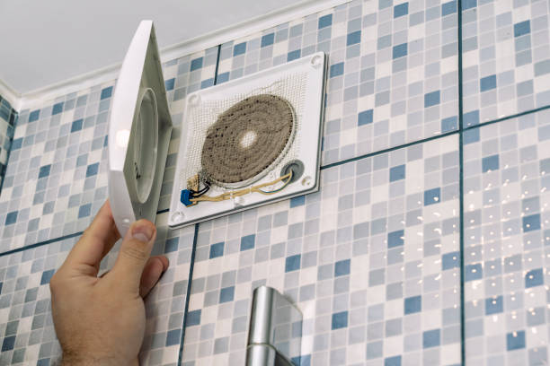 Best Ductwork Cleaning Services  in Pioche, NV