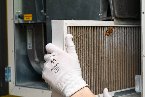 Best Air Duct Cleaning Near Me in Pioche, NV