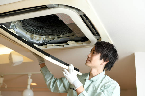 Best Professional Duct Cleaning Services  in Pioche, NV