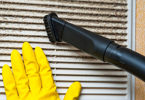 Best Duct Cleaning for Homes  in Pioche, NV
