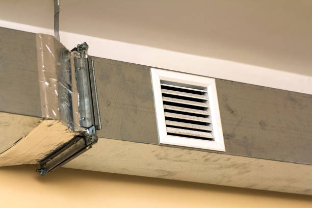Best Affordable Air Duct Cleaning  in Pioche, NV